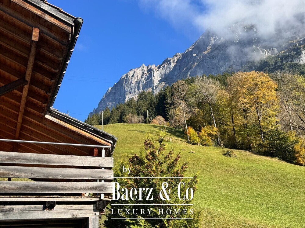 Foto 14 1000w