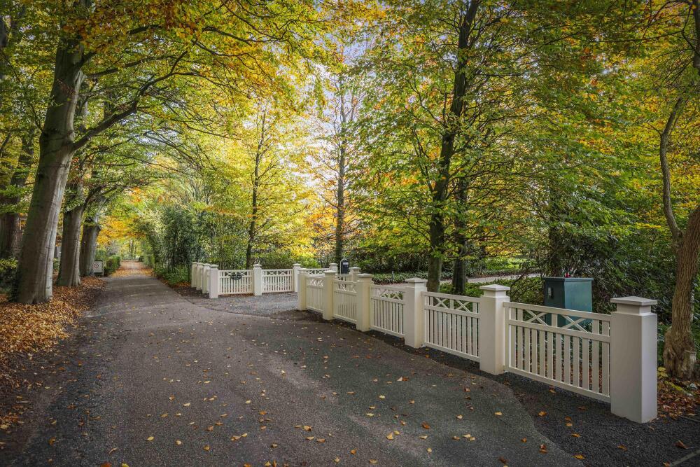 Foto 82 1000w