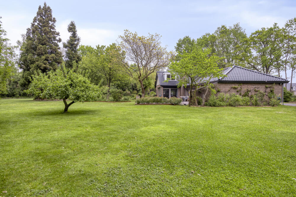 Foto 78 1000w