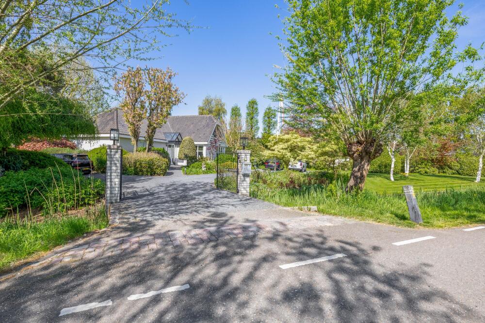 Foto 3 1000w