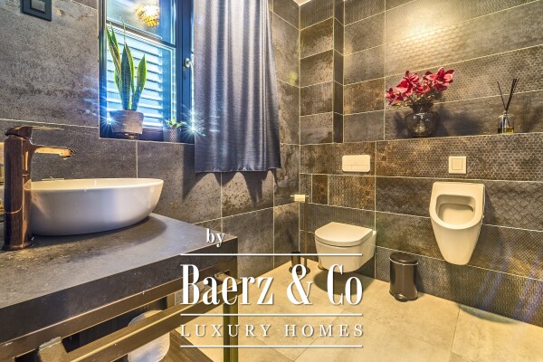 photo 10 Maksimir, Kolonija luxurious house with a pool