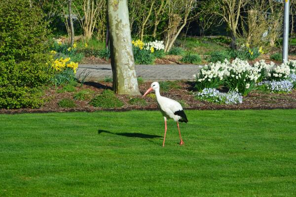 photo 65 Lange Meentweg 4