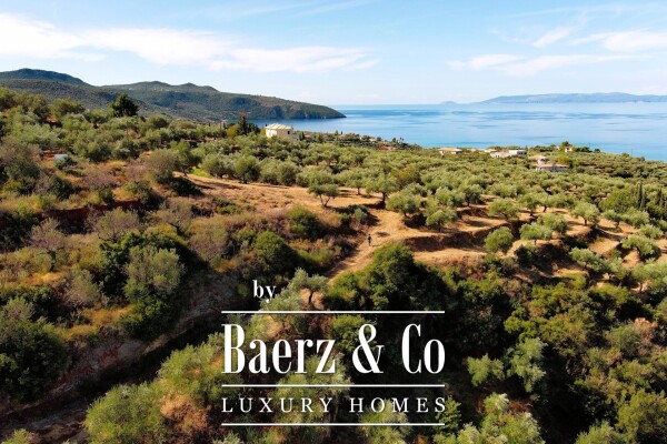 photo 3 1115698 - Villa For sale, Avia, 120 sq.m., €950.000