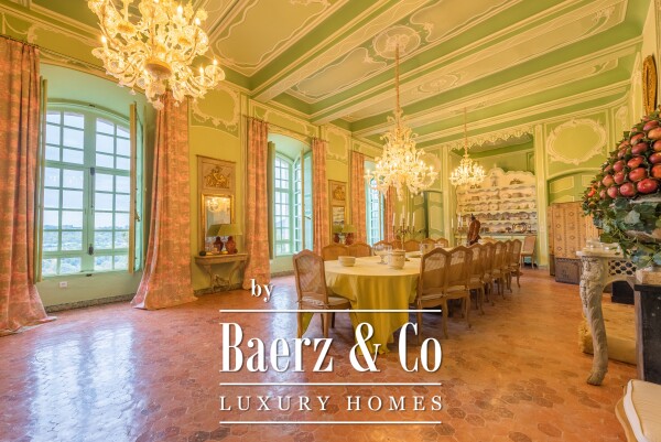 photo 17 Castle fully renovated with 16 hectares, 5.000 sqm and Helipad