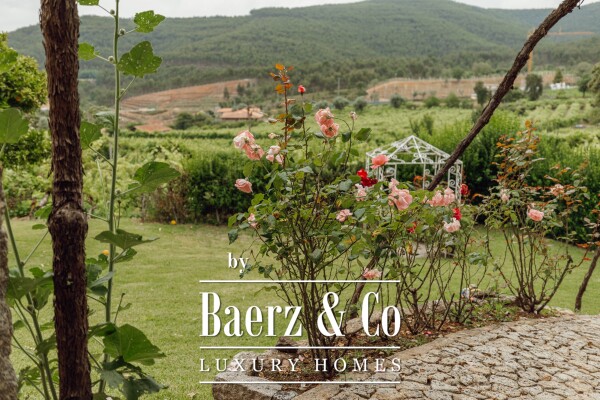 photo 13 Magnificent Manor House with winery