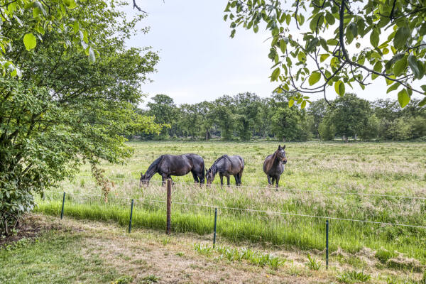 photo 61 Westerstraat 49 b