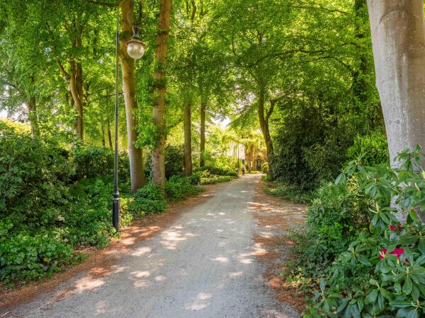 photo 93 Meerwijklaan 1