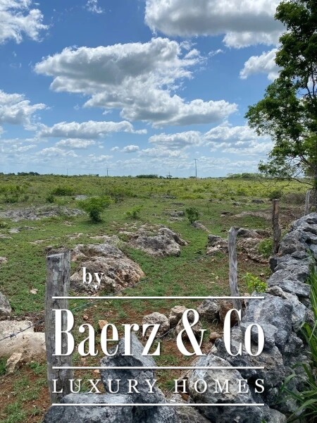 photo 10 Street 24 x 29 