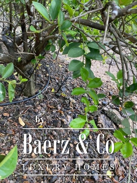 photo 26 Street 24 x 29 