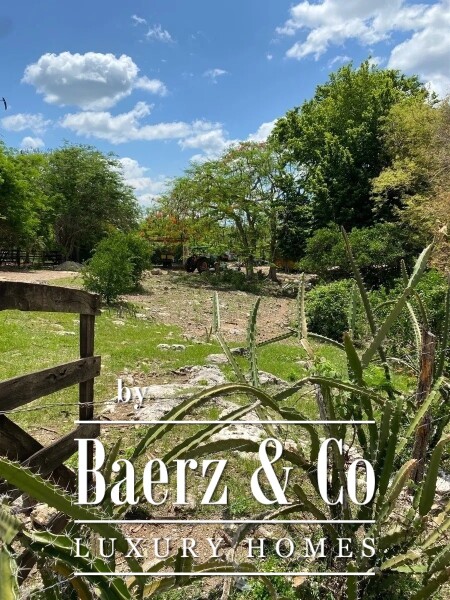 photo 27 Street 24 x 29 