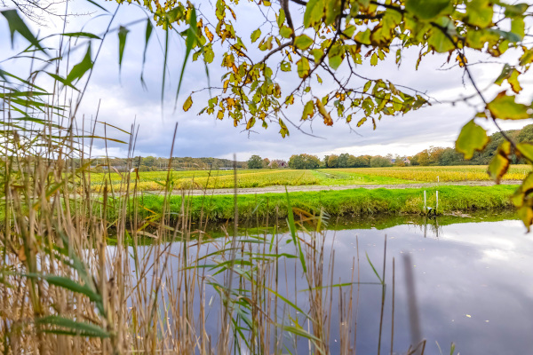 photo 67 Bekslaan 58