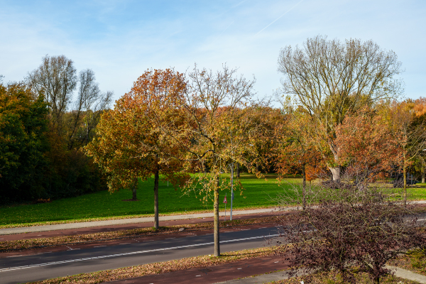 photo 42 Boymansweg 17