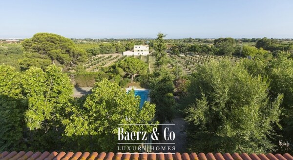 photo 25 Camí de la Pedra Estela 