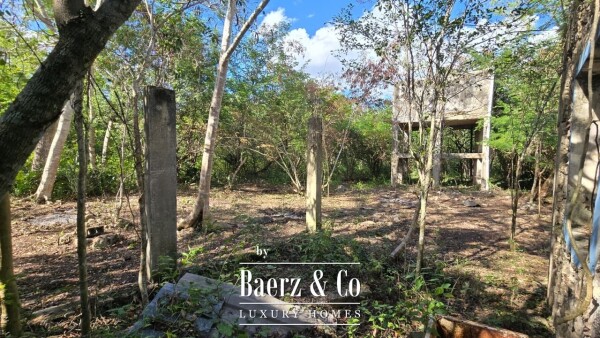 photo 31 Sagrado - Valladolid 