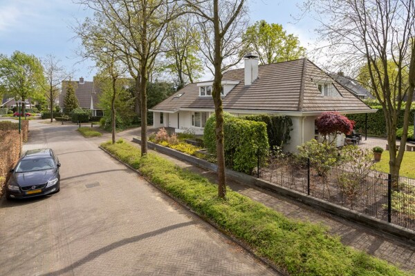 photo 82 Zilvermos 2