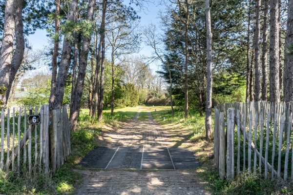 photo 5 Herman Heijermansweg 6