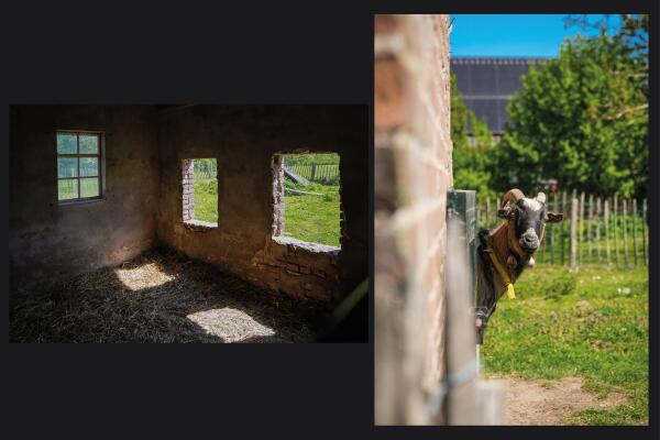 photo 42 Molenstraat 31