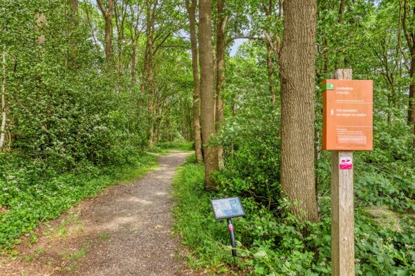 photo 94 Nieuweweg-noord 271