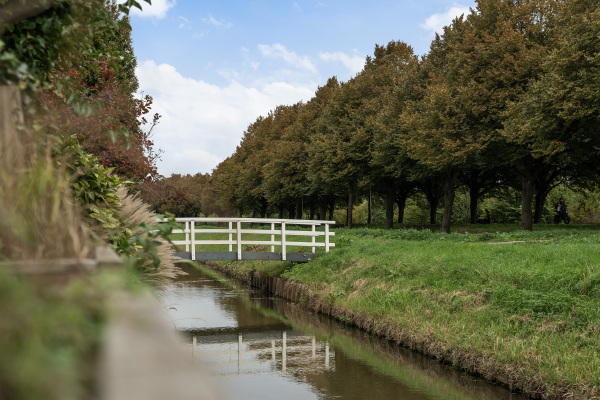 photo 45 Richelhof 21