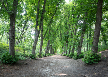 HEEMSTEDE