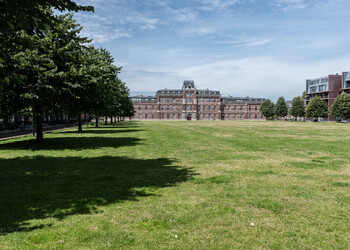 HAARLEM
